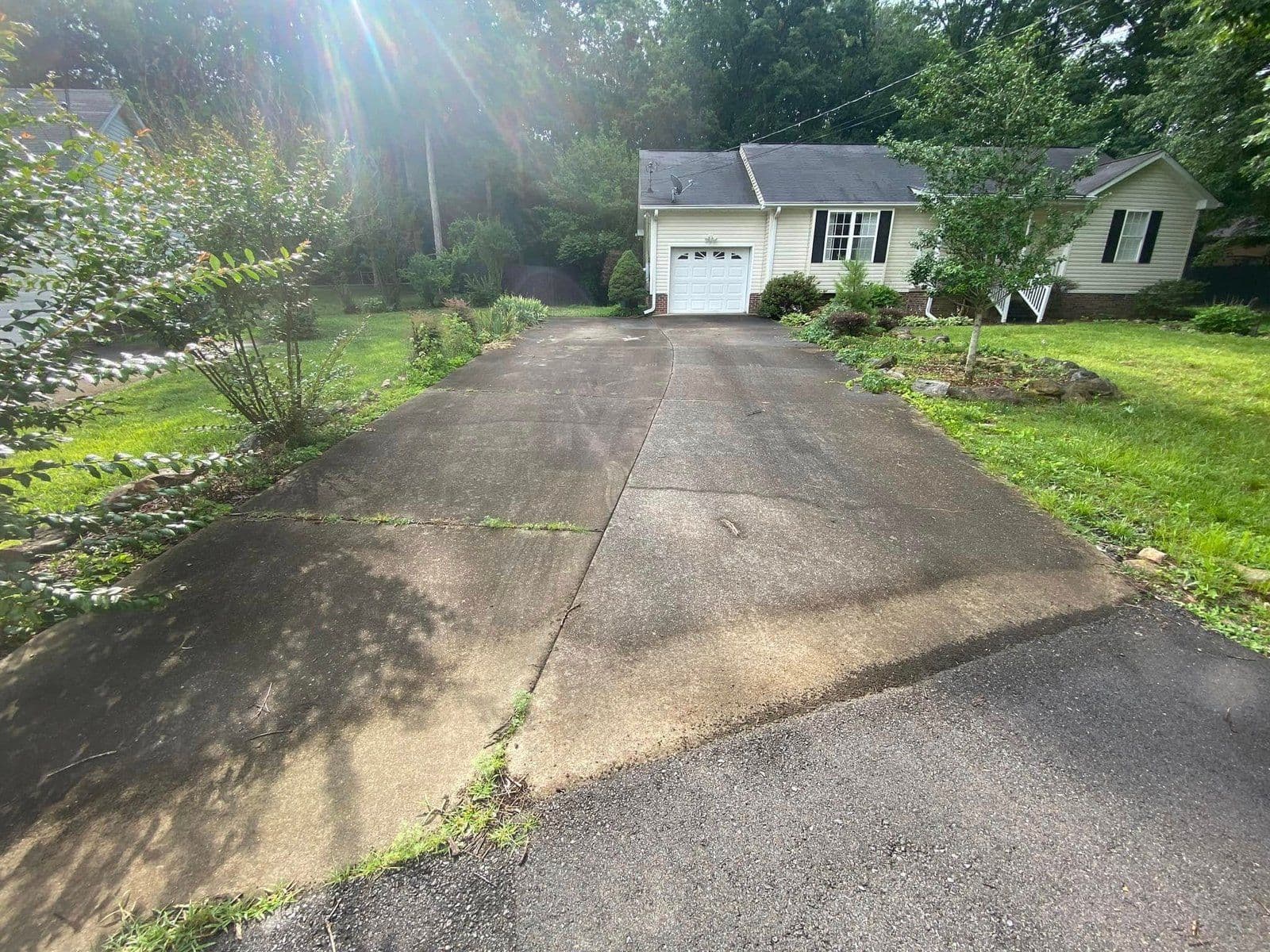 Concrete driveway leading to a house with a garage surrounded by greenery.