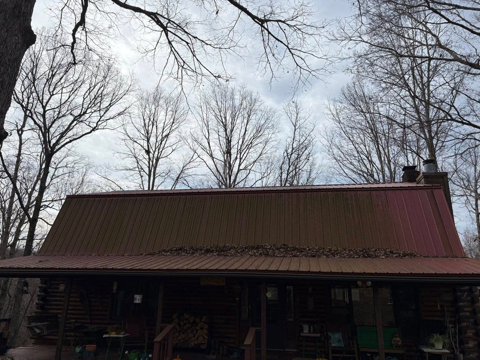 Log cabin with a metal roof covered in leaves, surrounded by bare trees and cloudy sky.